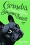 Cover of "Cornelia and the Audacious Escapades of the Somerset Sisters"