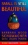 Cover of "Small Is Still Beautiful"