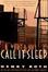 Cover of "Call It Sleep"