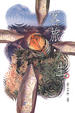 Cover of 客旅•人生