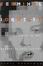 Cover of "Terminal Identity"