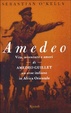 Cover of Amedeo