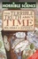 Cover of "The Terrible Truth About Time"