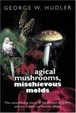 Cover of Magical Mushrooms, Mischievous Molds