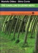 Cover of Tre cavallini di legno nero