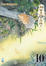 Cover of Mushishi vol. 10
