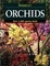 Cover of "Botanica's Orchids"