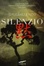 Cover of Silenzio
