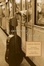 Cover of The Adventures of a Cello