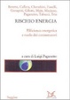 Cover of Rischio energia. Efficienza energetica e ruolo dei consumatori