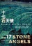 Cover of "十七石天使"