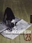 Cover of 'The Best of Newspaper Design 23rd Edition'