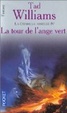 Cover of La tour de l'ange vert