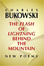 Cover of "The Flash of Lightning Behind the Mountain"