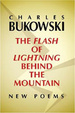 Cover of Flash of Lightning Behind the Mountain