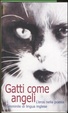 Cover of Gatti come angeli