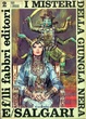 Cover of I misteri della giungla nera
