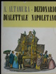 Cover of Dizionario dialettale napoletano