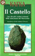 Cover of Il Castello