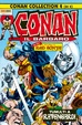 Cover of Conan Il Barbaro Collection n. 4 (di 4)
