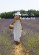 Cover of Profumo di lavanda