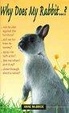 Cover of Why Does My Rabbit . . . ?