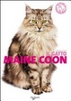 Cover of Il gatto Maine Coon