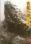 Cover of 天龍八部