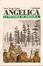 Cover of La vittoria di Angelica