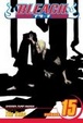 Cover of Bleach, Volume 15