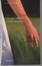 Cover of La casa Tellier e altri racconti