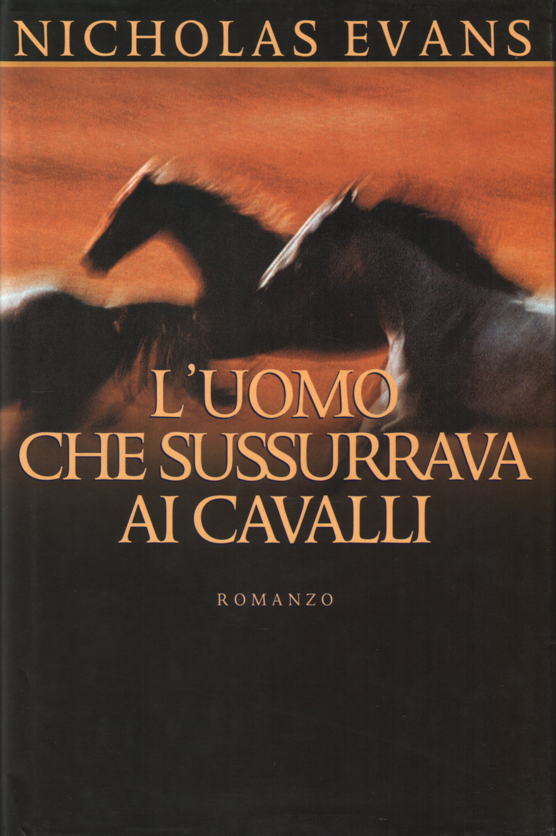 Risultati immagini per l'uomo che sussurrava ai cavalli