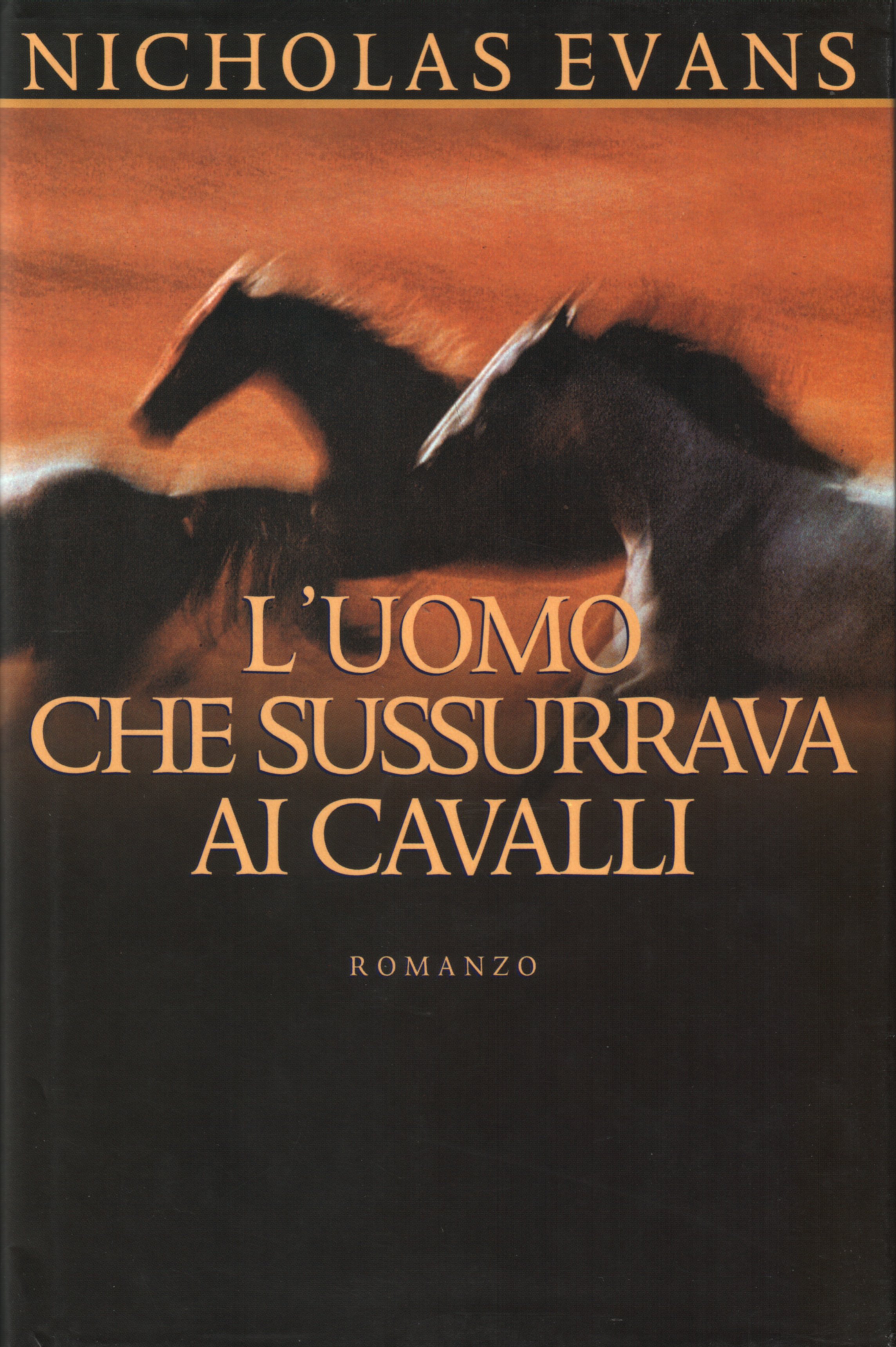 Risultati immagini per l'uomo che sussurrava ai cavalli