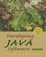 Cover of Developing Java Software