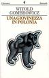 Cover of Una giovinezza in Polonia