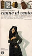 Cover of Canne al vento