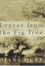 Cover of "Leaves from the Fig Tree"