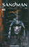 Cover of The Sandman n. 20