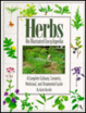 Cover of Herbs