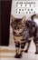 Cover of Chaton