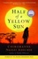 Image of Half of a Yellow Sun