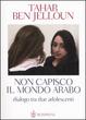 Cover of Non capisco il mondo arabo