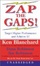 Cover of Zap the Gaps!