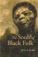 Cover of The Souls of Black Folk