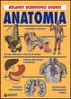 Cover of Anatomia