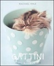 Cover of Gattini