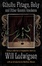 Cover of "Cthulhu Fhtagn, Baby! and Other Cosmic Insolence"