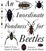 Cover of "An Inordinate Fondness for Beetles"