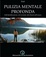 Cover of Pulizia mentale profonda. Dall'identificazione con la mente alla libertà dell'essere
