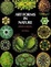 Cover of "Art Forms in Nature"
